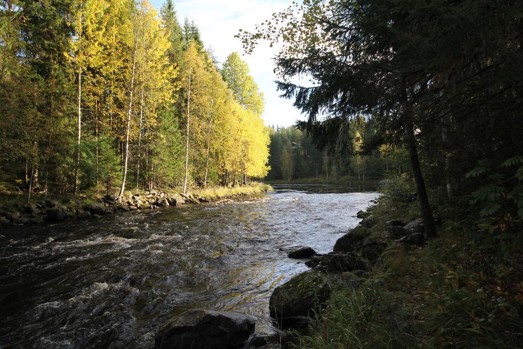Keskikosken Lomamoekit Venajanjarvi ภายนอก รูปภาพ