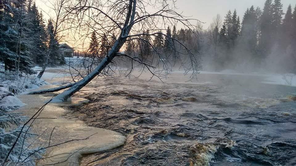 Keskikosken Lomamoekit Venajanjarvi ภายนอก รูปภาพ